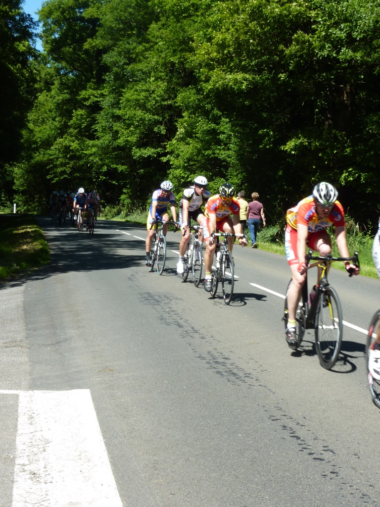 Sérigné 10 mai 2015 P1270945