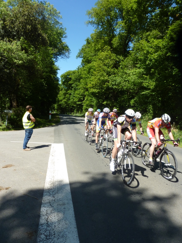 Sérigné 10 mai 2015 P1270955